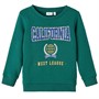 Name It Drenge Nmmlauge Bru Sweatshirts Grøn