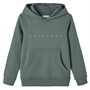 Name It Jongens Nkmotummas Swe W Bru Hoodies Grijs Groen