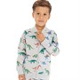 Name It Jongens  Dinosaur   Sweaters Grijs