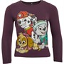 Name It Girls Nmfosina Paw Patrol Long Sleeve Top Hortensia