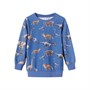 Name It Jongens Sweaters Blauw