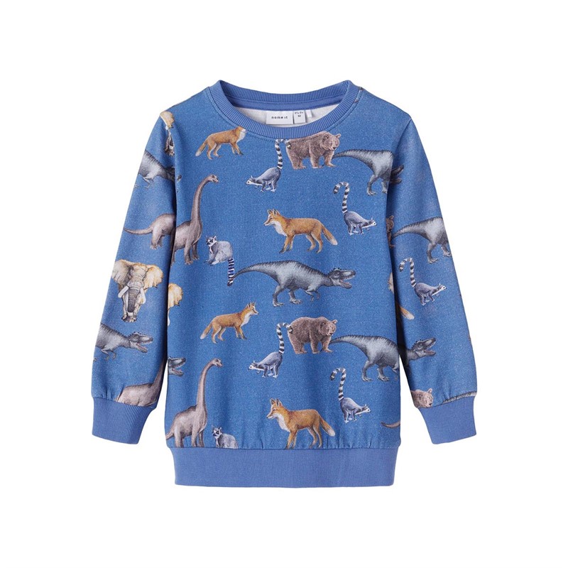 Name It Jongens Sweaters Blauw