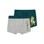 Name It Drenge Gigantosaurus Boxer shorts Flerfarvet