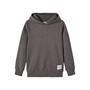 Name It Sweats à Capuche Temmo Garçon Gris