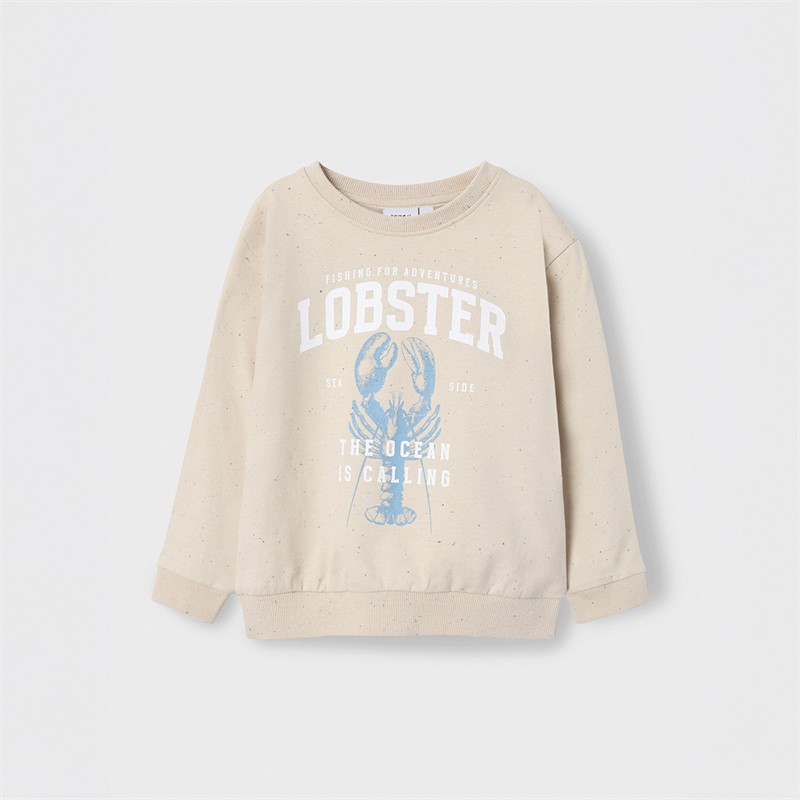 Name It Boys Fabian Sweatshirt Peyote