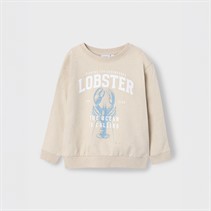 Name It Boys Fabian Sweatshirt Peyote