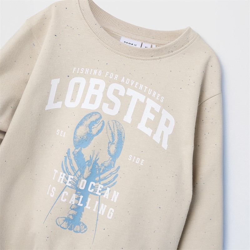 Name It Boys Fabian Sweatshirt Peyote