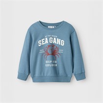 Name It Boys Fabian Sweatshirt Spring Lake