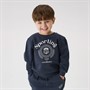 Name It Drenge Drian Sweatshirt Ombre Blå