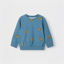 Name It Drenge Fernan Sweatshirt Spring Lake