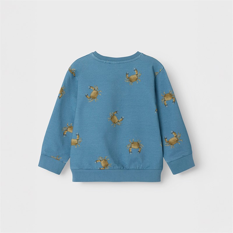 Name It Sweat-Shirt Fernan Garçon Spring Lake