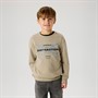 Name It Drenge Byron Sweatshirt Vintage Khaki