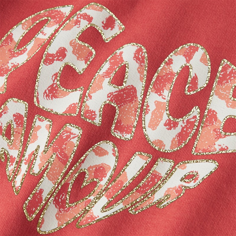 Name It Fille Biana Sweat à Capuche Spiced Coral