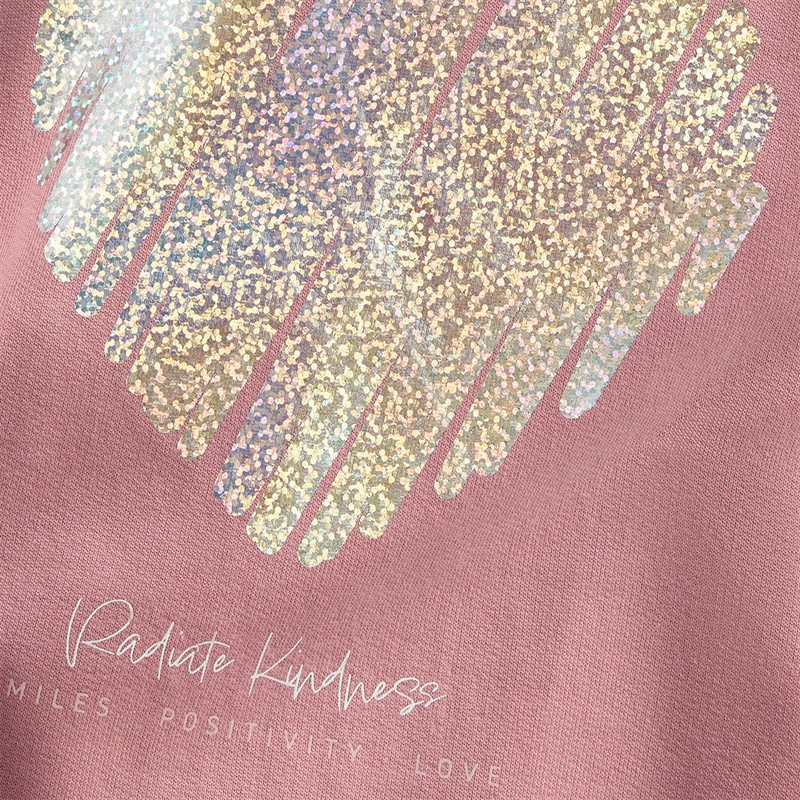 Name It Fille Bella Sweat à Capuche Nostalgia Rose