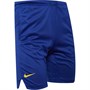 Nike Junior FCB Barcelona Basketball Shorts Deep Royal Blue/Varsity Maize