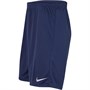 Nike Heren Park II Sportperformance shorts Blauw