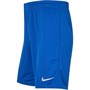 Nike Mens Park Knit II Shorts Blue