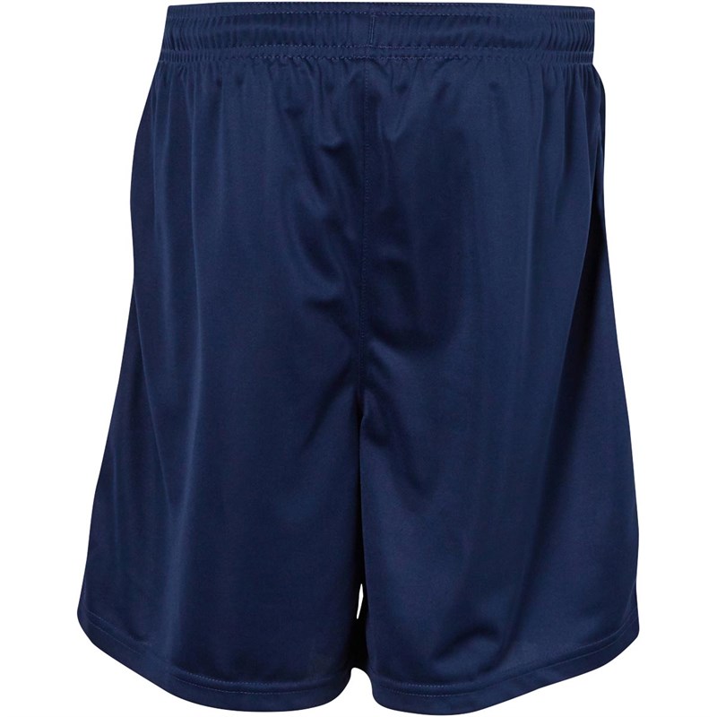 nike park 2 knit short