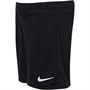 Nike Junior Park Knit II Shorts Black