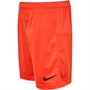 Nike Junior Park Knit II Shorts Football Orange