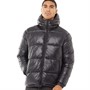 French Connection Herren Puffajacke Schwarz