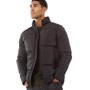 French Connection Herren Puffajacke Schwarz
