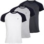 French Connection T-Shirts Raglan Homme Multicolore