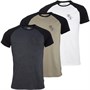 French Connection T-Shirts Raglan Script Homme Multicolore