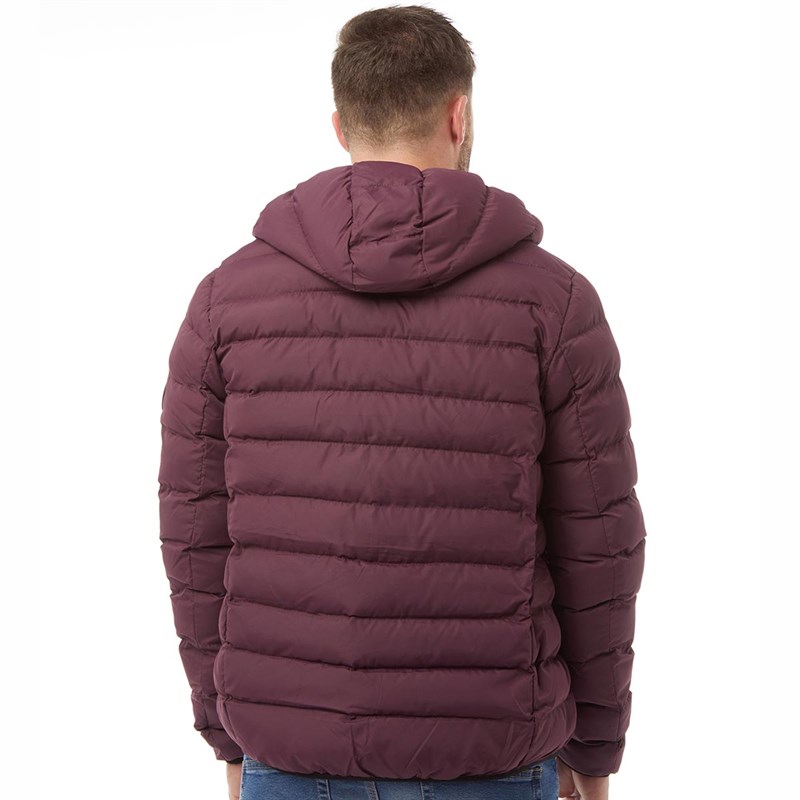 veste onitsuka tiger homme violet
