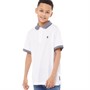 French Connection Jongens Stripe Collar Polo’s met korte mouwen Wit