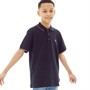 French Connection Polos à manches courtes Tipped Pique Garçon Bleu Marine