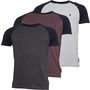 French Connection Mens Three Pack Raglan T-Shirts Charcoal Mel/Light Grey Marl/Chateaux Mel