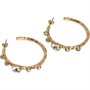 French Connection Womens Crystal Set Organic Hoop Earrings Clear/Gold