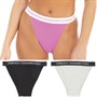 French Connection Womens Three Pack Tanga Briefs Black/Pink Violet/Grey Melange