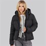 French Connection Womens Row Short Puffer Coat Black