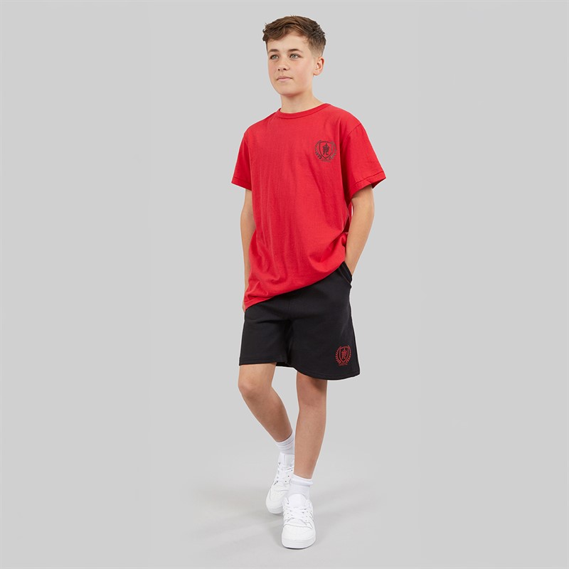 French Connection Boys Heritage T-Shirt And Shorts Set Red/Black
