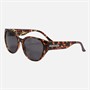 French Connection Womens Sunglasses Multi