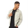 French Connection Veste Bomber Harrington Homme Beige