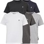 French Connection T-shirts Garçon 5 pièces noir/ Gris Chiné anthracite/ marine/ Gris Chiné clair/ blanc