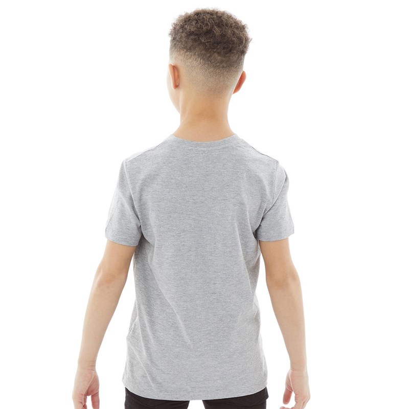 Original Penguin Boys Multi Penguin T-Shirt Vintage Grey Heather