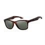 O'Neill Shore Sunglasses Tort