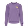 Only Meisjes Kogweekday Sweaters Paars