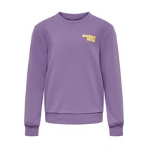 Only Meisjes Kogweekday Sweaters Paars