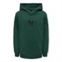 Only Sweats à Capuche Kobclaes Garçon Vert Foncé