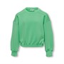 Only Meisjes Scarlett Sweaters Groen