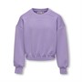 Only Meisjes Scarlett Sweaters Violet