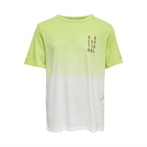 Only Drenge Bross Dye T-shirts Limegrøn