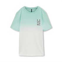 Only Drenge Bross T-shirts Bleg Blå