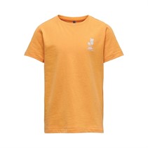 Only Drenge Fit Palm T-shirts Orange
