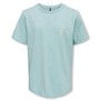 Only Drenge T-shirts Lys Turkis